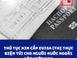 THỦ TỤC XIN CẤP EVISA (THỊ THỰC ĐIỆN TỬ) CHO NGƯỜI NƯỚC NGOÀI VÀO VIỆT NAM
