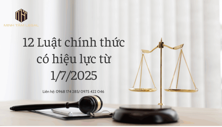 12 Luật chính thức có hiệu lực từ 1/7/2025