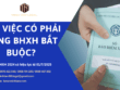 Minh Tâm- Thử việc có phải tham gia bảo hiểm xã hội bắt buộc không